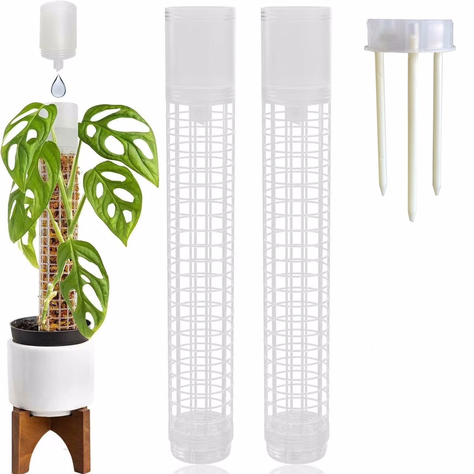 Sphagnum Moss Dry - Moss Pole Plastic Plant Stand Indoor