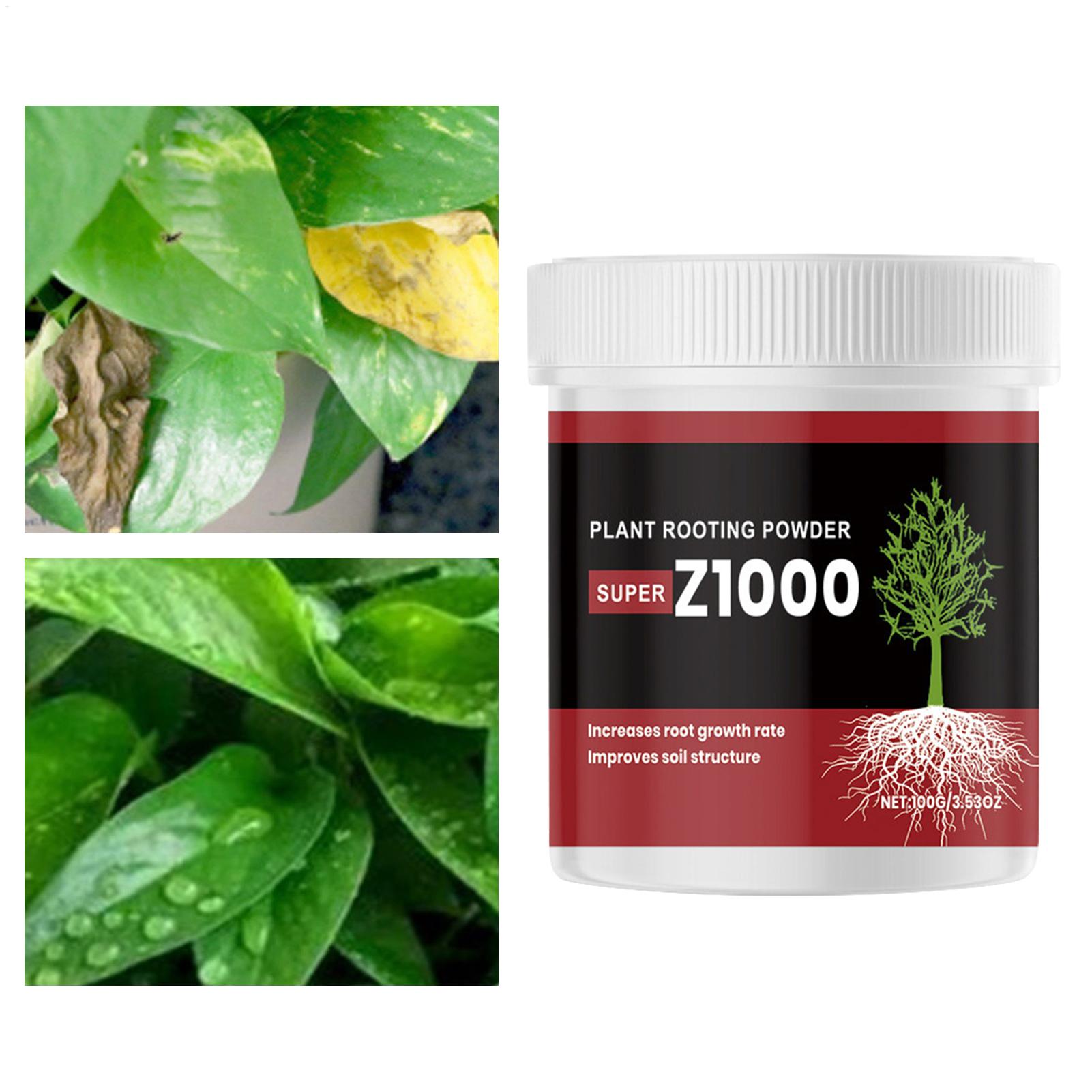 Rooting Ho Rmone Powder For Pl - Root Stimulator Liquid ulasan dan harga