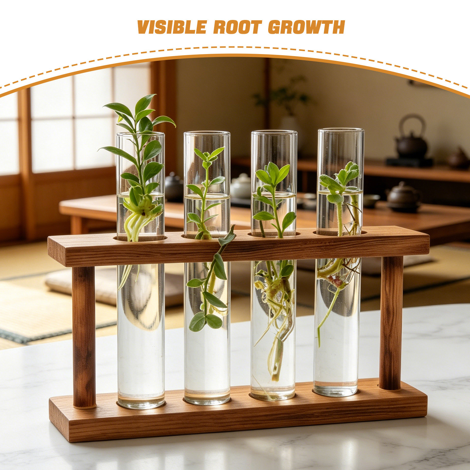 Wood Plant Propagation Station - Propagation Station Vase ulasan dan harga