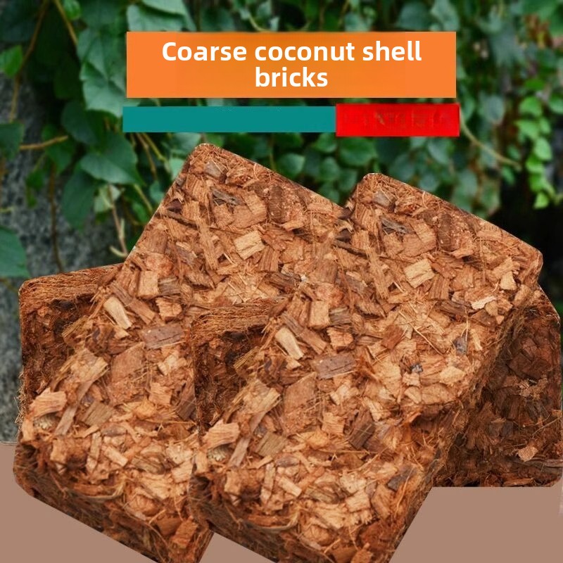 Coconut Coir Brick with Organi - Sphagnum Moss Dry ulasan dan harga
